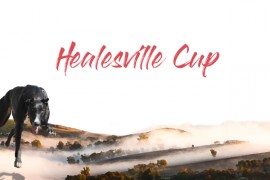 2023 Healesville Cup