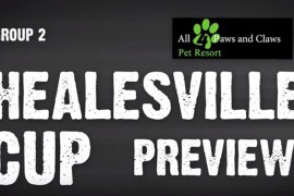 VIDEO: Healesville Cup Preview & Your Chance to Win