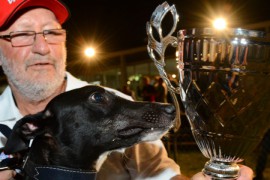 Spirited Greyhound Chasing Epic Payday