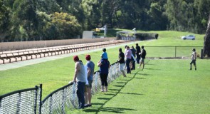 Healesville Vic Breeders Preview: She’s More than Just Talk