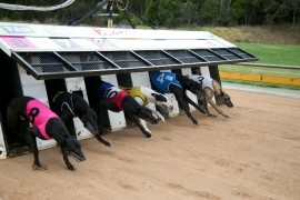 SCHEDULED TRACK MAINTENANCE