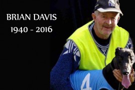 Vale Brian Davis