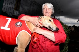 Pearl taking Red Dog Run campaign personally