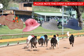 This Sunday is Ladies Day at Healesville…and it’s FREE!