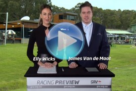 VIDEO: GRVextra Healesville Cup Preview