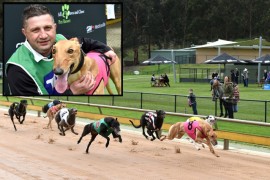 Local hopes rest with Haiyan in Healesville Cup