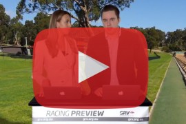 2017 Healesville Cup preview