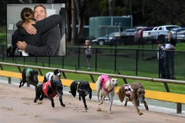 Zinzan Brooke runs hot at Healesville