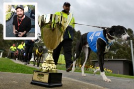 It’s a hot Healesville Cup