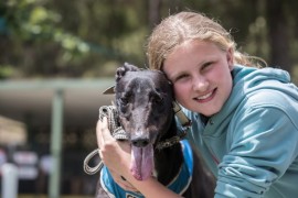 Healesville Greyhounds Racing into 2019