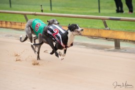 National Straight Track heats