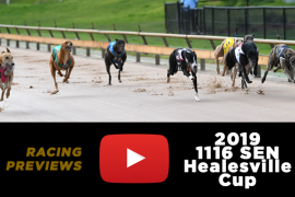 2019 1116 SEN Healesville Cup preview