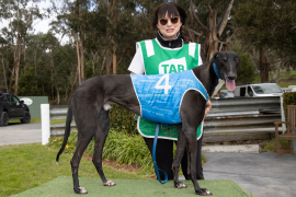 Healesville Cup Carnival excitement for local trainers