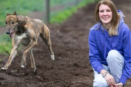 Young sweetheart lost to greyhound racing