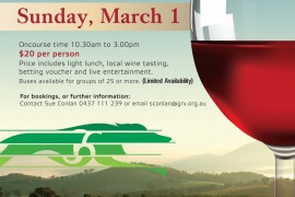 Healesville Wine & Race Day