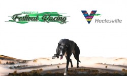 2022 Healesville Festival of Racing