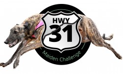 Racing Update – Highway 31 Maiden Challenge