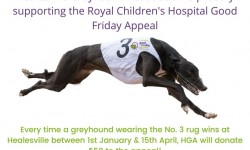 HGA supports the Good Friday Appeal!