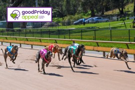 Greyhound racing’s $100K Good Friday Appeal mission