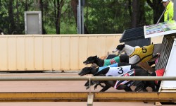 Healesville set to resume racing
