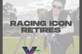An icon of greyhound racing retires