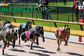 The Stir Up | Healesville Cup Edition